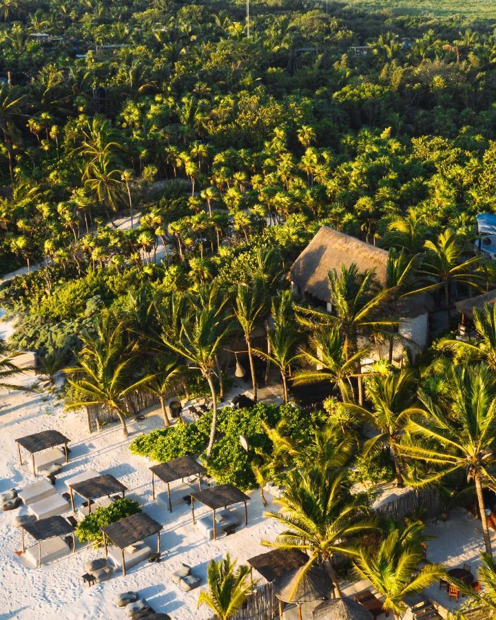 Nest Tulum Ξενοδοχείο Εξωτερικό φωτογραφία
