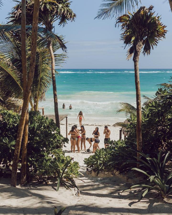 Nest Tulum Ξενοδοχείο Εξωτερικό φωτογραφία