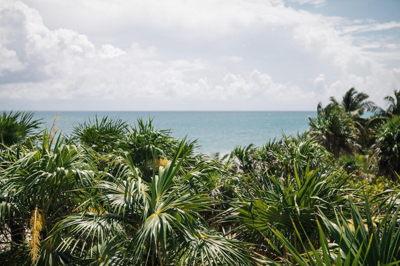 Nest Tulum Ξενοδοχείο Εξωτερικό φωτογραφία