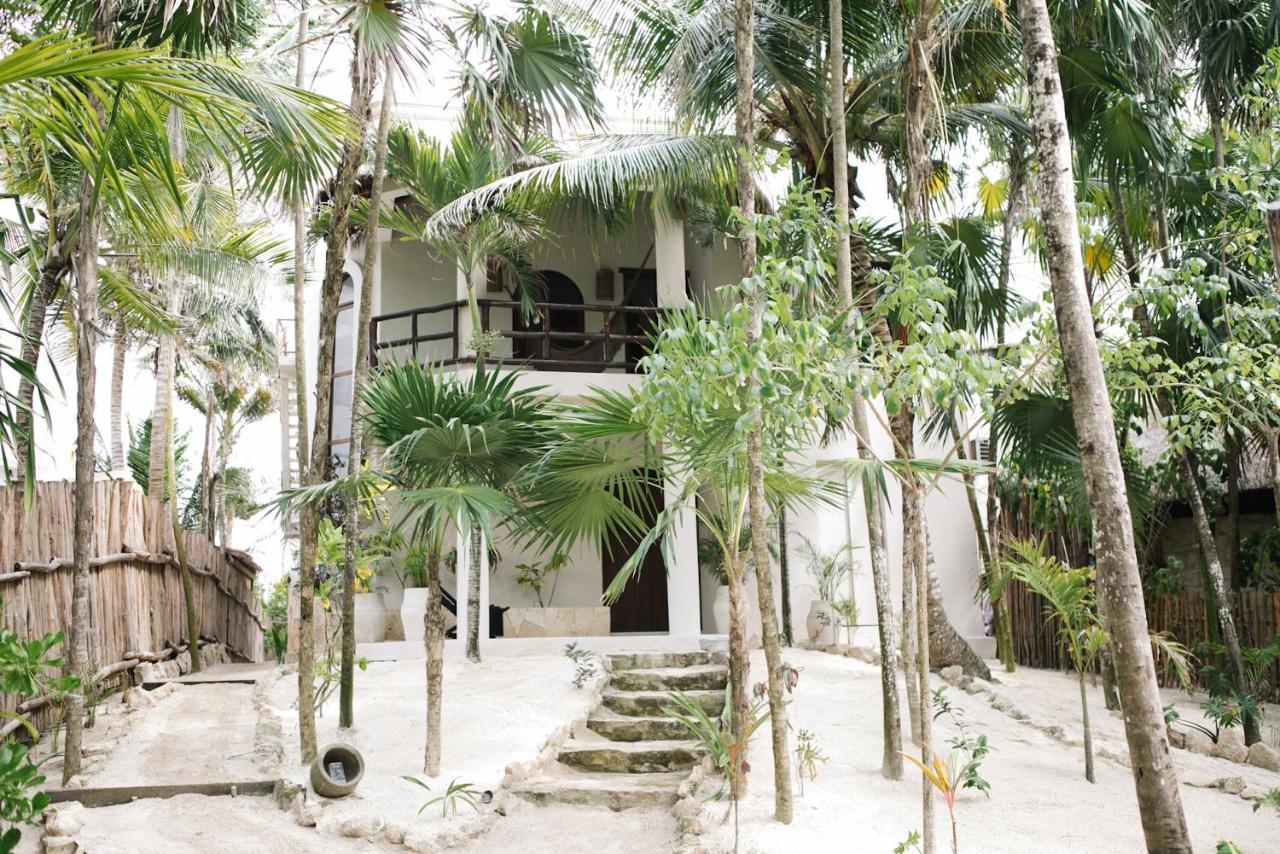 Nest Tulum Ξενοδοχείο Εξωτερικό φωτογραφία